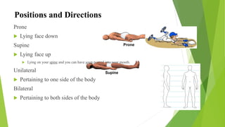 Anatomy and Physiology slides KMU (IHS) swat.pdf