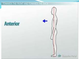 ANATOMY AND PHYSIOLOGY UNIT- 1 INTRODUCTION new.pptx