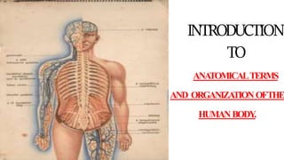 INTRODUCTION
TO
ANATOMICALTERMS
AND ORGANIZATIONOFTHE
HUMANBODY
.
 