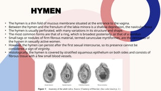 Anatomy And Physiology Vulva Vagina pptx Anatomy And Physiology Vulva Vagina pptx