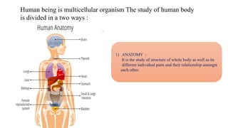 Anatomy and Physiplogy.pptx