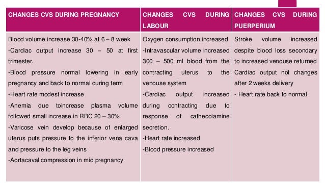 Anatomy and Physiologycal Changes During Pregnancy