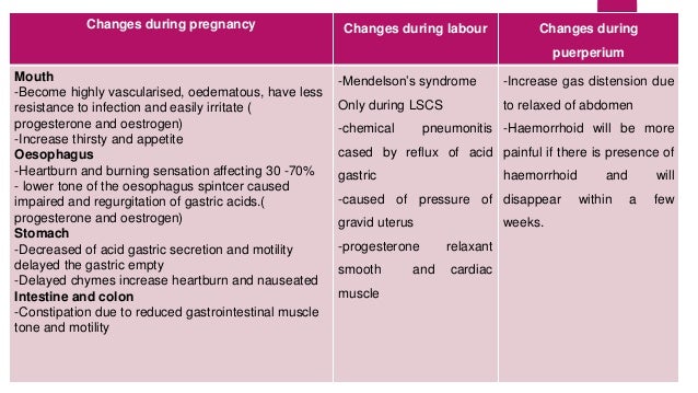 Anatomy and Physiologycal Changes During Pregnancy