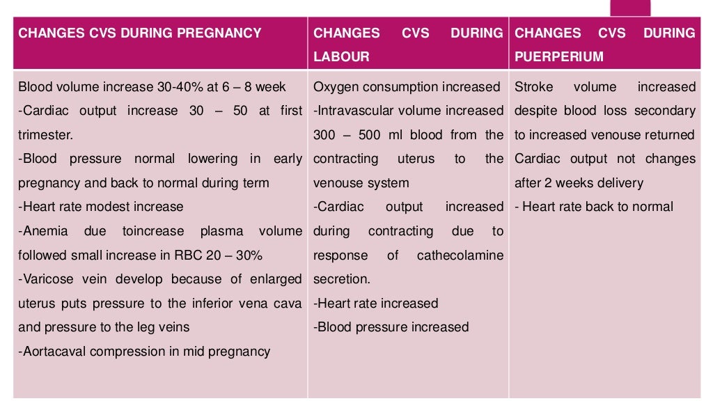 Anatomy and physiological changes in pregnancy