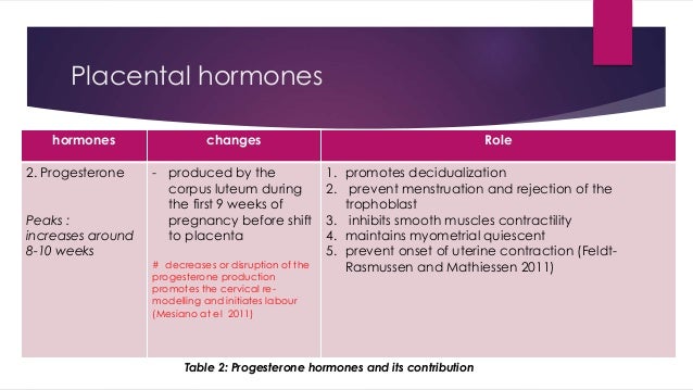 Anatomy and physiological changes in pregnancy
