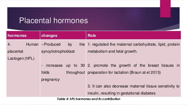 Anatomy and physiological changes in pregnancy