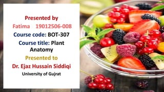 Presented by
Fatima 19012506-008
Course code: BOT-307
Course title: Plant
Anatomy
Presented to
Dr. Ejaz Hussain Siddiqi
University of Gujrat
 