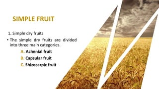 Anatomy and reproductive part of fruit | PPTX
