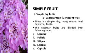 Anatomy and reproductive part of fruit | PPTX