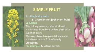 Anatomy and reproductive part of fruit | PPTX