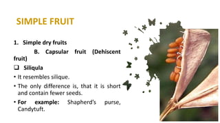 Anatomy and reproductive part of fruit | PPTX