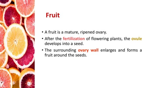 Anatomy and reproductive part of fruit | PPTX | Gardening | Home & Garden