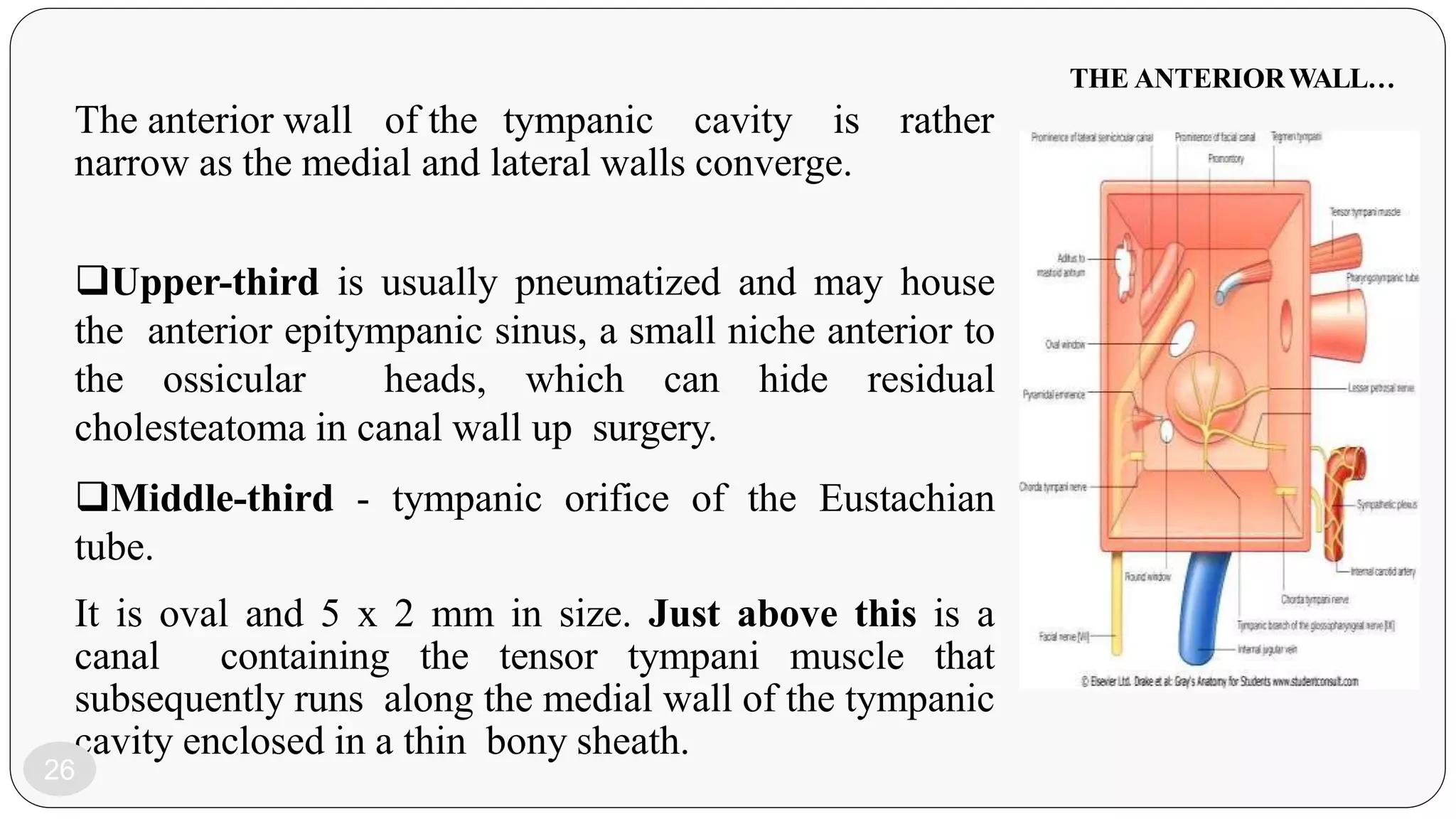 Anatomy and ultrastructure of middle ear | PPTX