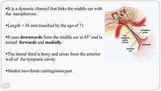 Middle Ear Rectangular Room Anatomy and ultrastructure of middle ear | PPTX
