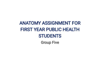ANATOMY ASSIGNMENT FOR
FIRST YEAR PUBLIC HEALTH
STUDENTS
Group Five
 