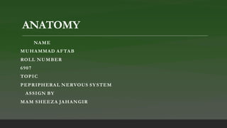 ANATOMY
NAME
MUHAMMAD AFTAB
ROLL NUMBER
6907
TOPIC
PEPRIPHERAL NERVOUS SY STEM
ASSIGN BY
MAM SHEEZA JAHANGIR
 