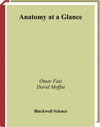 Anatomy at a Glance




      Omar Faiz
     David Moffat



    Blackwell Science
 