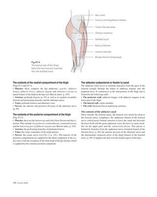 The contents of the medial compartment of the thigh
(Figs 47.2 and 47.3)
• Muscles: these comprise the hip adductors: gracilis, adductor
longus, adductor brevis, adductor magnus and obturator externus (a
lateral rotator of the thigh at the hip) (see Muscle index, p. 165).
• Arteries: profunda femoris (p. 95) as well as its medial circumﬂex
femoral and perforating branches and the obturator artery.
• Veins: profunda femoris and obturator veins.
• Nerves: the anterior and posterior divisions of the obturator nerve
(p. 99).
The contents of the posterior compartment of the thigh
(Fig. 47.3)
• Muscles: these are the hamstrings and effect knee ﬂexion and hip ex-
tension.Theyinclude:bicepsfemoris,semitendinosus,semimembranosus
and the hamstring part of adductor magnus (see Muscle index, p. 165).
• Arteries: the perforating branches of profunda femoris.
• Veins: the venae comitantes of the small arteries.
• Nerves: the sciatic nerve (L4,5,S1–3, p. 101). The muscles of the
posterior compartment are supplied by the tibial component of the sci-
atic nerve with the exception of the short head of biceps femoris which
is supplied by the common peroneal component.
108 Lower limb
The adductor (subsartorial or Hunter’s) canal
The adductor canal serves to transmit structures from the apex of the
femoral triangle through the hiatus in adductor magnus into the
popliteal fossa. It commences in the mid-portion of the thigh and is
formed by the following walls:
• The posterior wall: adductor longus, with adductor magnus in the
lower part of the thigh.
• The lateral wall: vastus medialis.
• The roof: thickened fascia underlying sartorius.
The contents of the adductor canal
These include: the femoral artery, the femoral vein which lies deep to
the femoral artery, lymphatics, the saphenous branch of the femoral
nerve (which passes behind sartorius to leave the canal and descends
the lower limb with the great saphenous vein), the nerve to vastus medi-
alis (in the upper part) and the subsartorial plexus. This plexus is
formed by branches from the saphenous nerve (terminal branch of the
femoral nerve, p. 99), the anterior division of the obturator nerve and
the intermediate cutaneous nerve of the thigh (branch of the femoral
nerve, p. 99). It supplies the skin over the medial aspect of the knee.
Fig.47.4
The lateral side of the thigh.
Note the two muscles inserted
into the iliotibial tract
Iliac crest
Fascia covering gluteus medius
Tensor fasciae latae
Gluteus maximus
Iliotibial tract
Rectus femoris
Vastus lateralis
Biceps femoris (long head)
 
