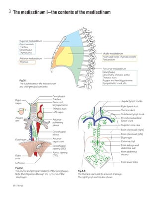 10 Thorax
3 The mediastinum Icthe contents of the mediastinum
Jugular lymph trunks
Thoracic duct
From lower limbs
Superior vena cava
From chest wall (right)
From chest wall (left)
Middle mediastinum
Heart and roots of great vessels
Pericardium
Superior mediastinum
Great vessels
Trachea
Oesophagus
Thymus, etc.
Anterior mediastinum
Thymus
Posterior mediastinum
Oesophagus
Descending thoracic aorta
Thoracic duct
Azygos and hemiazygos veins
Sympathetic trunk, etc.
Diaphragm
L1
L2
Cisterna chyli
From abdominal
viscera
Thoracic duct
Recurrent
laryngeal nerve
Oesophagus
Trachea
Left vagus
Anterior
pulmonary
plexus
Oesophageal
plexus
Anterior
vagal trunk
Oesophageal
opening (T10)
Aortic opening
(T12)
Left crus
Right
vagus
Azygos
vein
Diaphragm
Right
crus
Subclavian lymph trunk
Bronchomediastinal
lymph trunk
Right lymph duct
From kidneys and
abdominal wall
Fig.3.2
The course and principal relations of the oesophagus.
Note that it passes through the right crus of the
diaphragm
Fig.3.3
The thoracic duct and its areas of drainage.
The right lymph duct is also shown
Fig.3.1
The subdivisions of the mediastinum
and their principal contents
 