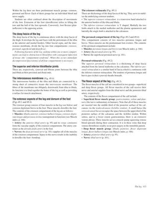 Within the leg there are three predominant muscle groups: extensor,
peroneal and ﬂexor. Each of these groups has an individual blood and
nerve supply.
Students are often confused about the description of movements
of the foot. Extension of the foot (dorsiﬂexion) refers to lifting the
toes and the ball of the foot upwards. Conversely, foot ﬂexion (plan-
tarﬂexion) is the opposing action.
The deep fascia of the leg
The deep fascia of the leg is continuous above with the deep fascia of
the thigh. It envelops the leg and fuses with the periosteum of the tibia
at the anterior and medial borders. Other fascial septa, and the inter-
osseous membrane, divide the leg into four compartments: extensor,
peroneal, superﬁcial and deep ﬂexor.
Following fractures of the leg, oedema within one or more compart-
ments can lead to obstruction to blood ﬂow with consequent infarction
of tissuebthe ‘compartment syndrome’. When this occurs immediate
decompression (fasciotomy) of all four compartments is necessary.
The superior and inferior tibioﬁbular joints
These are, respectively, synovial and ﬁbrous joints between the tibia
and ﬁbula at their proximal and distal ends.
The interosseous membrane (Fig. 49.4)
The interosseous borders of the tibia and ﬁbula are connected by a
strong sheet of connective tissueathe interosseous membrane. The
ﬁbres of the membrane run obliquely downwards from tibia to ﬁbula.
Its function is to bind together the bones of the leg as well as providing
a surface for muscle attachment.
The extensor aspects of the leg and dorsum of the foot
(Figs 49.1 and 49.4)
The extensor group consists of four muscles in the leg (see below) and
extensor digitorum brevis in the foot. These muscles dorsiﬂex the foot.
The contents of the extensor compartment of the leg are as follows:
• Muscles: tibialis anterior, extensor hallucis longus, extensor digito-
rum longus and peroneus tertius (unimportant in function) (see Muscle
index, p. 166).
• Artery: the anterior tibial artery (p. 95) and its venae comitantes
form the vascular supply of the extensor compartment. The artery con-
tinues as the dorsalis pedis artery in the foot.
• Nerves: the deep peroneal nerve (p. 101) supplies all of the muscles
of the extensor compartment. Injury to this nerve results in the inability
to dorsiﬂex the footafootdrop.
The extensor retinacula (Fig. 49.1)
These are thickenings of the deep fascia of the leg. They serve to stabil-
ize the underlying extensor tendons.
• The superior extensor retinaculum: is a transverse band attached to
the anterior borders of the tibia and ﬁbula.
• The inferior extensor retinaculum: is Y shaped. Medially the two
limbs attach to the medial malleolus and the plantar aponeurosis and
laterally the single limb is attached to the calcaneus.
The peroneal compartment of the leg (Figs 49.2 and 49.4)
This compartment consists of two musclesaperoneus longus and
brevis. These muscles are the predominant foot everters. The contents
of the peroneal compartment include:
• Muscles: peroneus longus and brevis (see Muscle index, p. 166).
• Artery: the peroneal artery (p. 95).
• Nerve: the superﬁcial peroneal nerve (p. 101).
Peroneal retinacula (Fig. 49.2)
The superior peroneal retinaculum is a thickening of deep fascia
attached from the lateral malleolus to the calcaneus. The inferior per-
oneal retinaculum is a similar band of fascia which is continuous with
the inferior extensor retinaculum. The tendons of peroneus longus and
brevis pass in their synovial sheaths beneath.
The ﬂexor aspect of the leg (Fig. 49.3)
The ﬂexor muscles of the calf are considered in two groupsasuperﬁcial
and deep ﬂexor groups. All ﬂexor muscles of the calf receive their
nerve and arterial supplies from the tibial nerve and the posterior tibial
artery, respectively.
The contents of the ﬂexor compartment of the calf include:
• Superﬁcial ﬂexor muscle group: gastrocnemius, soleus and plan-
taris (the last is rudimentary in humans). Note that all of these muscles
are inserted into the middle third of the posterior surface of the cal-
caneus via the tendocalcaneus (Achilles tendon). A small bursa (the
retrocalcaneal bursa) occupies the space between the upper third of the
posterior surface of the calcaneus and the Achilles tendon. Within
soleus, and to a lesser extent gastrocnemius, there is an extensive
venous plexus. These muscles act as a muscle pump squeezing venous
blood upwards during their contraction. It is in these veins that deep
venous thromboses readily occur post surgery in the immobile patient.
• Deep ﬂexor muscle group: tibialis posterior, ﬂexor digitorum
longus, ﬂexor hallucis longus (see Muscle index, p. 166).
• Artery: posterior tibial artery (p. 95).
• Nerve: tibial nerve (p. 101).
The leg 113
 