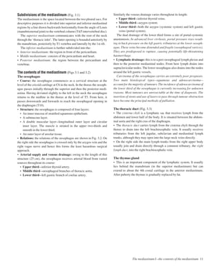 Subdivisions of the mediastinum (Fig. 3.1)
The mediastinum is the space located between the two pleural sacs. For
descriptive purposes it is divided into superior and inferior mediastinal
regions by a line drawn backwards horizontally from the angle of Louis
(manubriosternal joint) to the vertebral column (T4/5 intervertebral disc).
The superior mediastinum communicates with the root of the neck
through the ‘thoracic inlet’. The latter opening is bounded anteriorly by
the manubrium, posteriorly by T1 vertebra and laterally by the 1st rib.
The inferior mediastinum is further subdivided into the:
• Anterior mediastinum: the region in front of the pericardium.
• Middle mediastinum: consists of the pericardium and heart.
• Posterior mediastinum: the region between the pericardium and
vertebrae.
The contents of the mediastinum (Figs 3.1 and 3.2)
The oesophagus
• Course: the oesophagus commences as a cervical structure at the
level of the cricoid cartilage at C6 in the neck. In the thorax the oesoph-
agus passes initially through the superior and then the posterior medi-
astina. Having deviated slightly to the left in the neck the oesophagus
returns to the midline in the thorax at the level of T5. From here, it
passes downwards and forwards to reach the oesophageal opening in
the diaphragm (T10).
• Structure: the oesophagus is composed of four layers:
• An inner mucosa of stratiﬁed squamous epithelium.
• A submucous layer.
• A double muscular layeralongitudinal outer layer and circular
inner layer. The muscle is striated in the upper two-thirds and
smooth in the lower third.
• An outer layer of areolar tissue.
• Relations: the relations of the oesophagus are shown in Fig. 3.2. On
the right side the oesophagus is crossed only by the azygos vein and the
right vagus nerve and hence this forms the least hazardous surgical
approach.
• Arterial supply and venous drainage: owing to the length of this
structure (25 cm), the oesophagus receives arterial blood from varied
sources throughout its course:
• Upper thirdainferior thyroid artery.
• Middle thirdaoesophageal branches of thoracic aorta.
• Lower thirdaleft gastric branch of coeliac artery.
Similarly the venous drainage varies throughout its length:
• Upper thirdainferior thyroid veins.
• Middle thirdaazygos system.
• Lower thirdaboth the azygos (systemic system) and left gastric
veins (portal system).
The dual drainage of the lower third forms a site of portal-systemic
anastomosis. In advanced liver cirrhosis, portal pressure rises result-
ing in back-pressure on the left gastric tributaries at the lower oesoph-
agus. These veins become distended and fragile (oesophageal varices).
They are predisposed to rupture, causing potentially life-threatening
haemorrhage.
• Lymphatic drainage: this is to a peri-oesophageal lymph plexus and
then to the posterior mediastinal nodes. From here lymph drains into
supraclavicular nodes. The lower oesophagus also drains into the nodes
around the left gastric vessels.
Carcinoma of the oesophagus carries an extremely poor prognosis.
Two main histological typesbsquamous and adenocarcinomab
account for the majority of tumours. The incidence of adenocarcinoma of
the lower third of the oesophagus is currently increasing for unknown
reasons. Most tumours are unresectable at the time of diagnosis. The
insertion of stents and use of lasers to pass through tumour obstruction
have become the principal methods of palliation.
The thoracic duct (Fig. 3.3)
• The cisterna chyli is a lymphatic sac that receives lymph from the
abdomen and lower half of the body. It is situated between the abdom-
inal aorta and the right crus of the diaphragm.
• The thoracic duct carries lymph from the cisterna chyli through the
thorax to drain into the left brachiocephalic vein. It usually receives
tributaries from the left jugular, subclavian and mediastinal lymph
trunks, although they may open into the large neck veins directly.
• On the right side the main lymph trunks from the right upper body
usually join and drain directly through a common tributary, the right
lymph duct, into the right brachiocephalic vein.
The thymus gland
• This is an important component of the lymphatic system. It usually
lies behind the manubrium (in the superior mediastinum) but can
extend to about the 4th costal cartilage in the anterior mediastinum.
After puberty the thymus is gradually replaced by fat.
The mediastinum Ibthe contents of the mediastinum 11
 