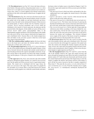 • VI. The abducent nerve (see Fig. 56.3): leaves the brain at the pos-
terior border of the pons and has a long intracranial course (so is often
the ﬁrst nerve to be affected in raised intracranial pressure) to the cav-
ernous sinus, where it is closely applied to the internal carotid artery,
and thence to the orbit via the superior orbital ﬁssure. It supplies the lat-
eral rectus.
• VII. The facial nerve (Fig. 58.1): this leaves the brain near the cere-
bellum and passes laterally into the internal auditory meatus. It reaches
the medial wall of the middle ear and turns backwards and down-
wards to leave the skull via the stylomastoid foramen. It then traverses
the parotid gland, in which it divides into ﬁve branches (temporal,
zygomatic, buccal, marginal mandibular and cervical) which are
distributed to the muscles of facial expression, the platysma and the
posterior belly of the digastric. In the middle ear it gives off the greater
petrosal branch which carries parasympathetic ﬁbres to the
sphenopalatine ganglion and thence to the lacrimal gland. In the middle
ear it also gives off the chorda tympani which joins the lingual nerve
and is distributed with it. Sensory ﬁbres in the chorda tympani have
their cell bodies in the geniculate ganglion which lies on the facial
nerve where it turns downwards.
• VIII. The vestibulocochlear (auditory) nerve: this leaves the brain
next to the facial nerve and enters the internal auditory meatus. It
divides into vestibular and cochlear nerves.
• IX. The glossopharyngeal nerve (see Fig. 65.1): leaves the brain at
the side of the medulla and passes through the jugular foramen. It then
curves forwards between the internal and external carotid arteries to
enter the pharynx between the superior and middle constrictors. It sup-
plies sensory ﬁbres to the posterior one third of the tongue (including
taste) and the pharynx. It also gives a branch to the carotid body and
sinus.
• X. The vagus nerve (Fig. 58.2): arises from the side of the medulla
and passes through the jugular foramen. It is joined by the accessory
nerve but the spinal root of the accessory leaves it again almost imme-
diately. The cranial root is distributed with the vagus (hence the
nameait is accessory to the vagus). The vagus carries two ganglia for
the cell bodies of its sensory ﬁbres. It descends between the internal
carotid artery and the jugular vein, within the carotid sheath, and enters
the thorax where its further course is described in Chapters 2 and 3. In
the neck the vagus (and cranial root of the accessory) gives the follow-
ing branches:
• The pharyngeal branch which runs below and parallel to the glos-
sopharyngeal nerve and supplies the striated muscle of the palate
and pharynx.
• Superior and inferior cardiac branches which descend into the
thorax to take part in the cardiac plexuses.
• The superior laryngeal nerve which divides into internal and exter-
nal laryngeal nerves. The former enters the larynx by piercing the
thyrohyoid membrane and is sensory to the larynx above the level of
the vocal cords, and the latter is motor to the cricothyroid muscle.
• The recurrent laryngeal nerve. On the right side it loops under the
subclavian artery before ascending to the larynx behind the com-
mon carotid artery. On the left side it arises from the vagus just
below the arch of the aorta and ascends to the larynx in the groove
between the trachea and oesophagus. The recurrent laryngeal
nerves supply all the muscles of the larynx except for cricopharyn-
geus and are sensory to the larynx below the vocal cords.
• XI. The accessory nerve (Fig. 58.2): the cranial root arises from the
side of the medulla with the vagus and is distributed with it. The spinal
root arises from the side of the upper ﬁve segments of the spinal cord,
enters the cranial cavity through the foramen magnum and joins the
vagus. It leaves the vagus below the jugular foramen and passes back-
wards to enter sternomastoid, which it supplies. It then crosses the pos-
terior triangle to supply trapezius (see Fig. 61.3).
• XII. The hypoglossal nerve (Figs 59.1 and 65.1): arises from the
side of the medulla ventral to the vagus and cranial accessory and
passes through the hypoglossal canal. Below the skull it is joined by the
anterior ramus of C1 and it then runs downwards and forward, across
the carotid sheath and the upward loop of the lingual artery to enter the
tongue. It supplies the intrinsic and extrinsic muscles of the tongue. It
gives off the descendens hypoglossi but this is actually composed of
ﬁbres from C1. This joins the descendens cervicalis, derived from C2
and 3, to form the ansa cervicalis. From this, branches arise to supply
the ‘strap muscles’, i.e. sternothyroid, sternohyoid, thyrohyoid and
omohyoid.
Cranial nerves VI–XII 131
 