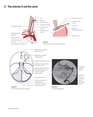 134 Head and neck
60 The arteries II and the veins
Fig.60.2
The intracranial venous sinuses
Fig.60.3
Vertebral angiogram
Fig.60.1
The branches of the subclavian artery
Scalenus anterior
Inferior
thyroid artery
Vertebral artery
Thyrocervical
trunk
C6
Axillary artery
Dorsal scapular
(usually)
Subclavian artery
Internal thoracic artery
First rib
Costocervical
trunk
Subclavian artery
Beginning of superior
sagittal sinus
Beginning of inferior
sagittal sinus
Superior ophthalmic vein
Costocervical
trunk
First rib
Superior
intercostal artery
Apex of lung
Intercavernous sinuses
Cavernous sinus
Superior petrosal sinus
Inferior petrosal sinus
Jugular foramen
Sigmoid sinus
Transverse sinus
Great cerebral vein
Straight sinus
Tentorium cerebelli
Transverse sinus
Posterior
inferior
cerebellar
artery
Posterior
cerebral
artery
Vertebral
artery
 