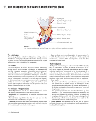 The oesophagus
The oesophagus begins at the level of the cricoid cartilage and runs
down behind and slightly to the left of the trachea. The left recurrent
laryngeal nerve is in the groove between the oesophagus and trachea
and the thoracic duct is to the left of the oesophagus.
The trachea
The trachea begins at the level of the cricoid cartilage and ends by
dividing into left and right bronchi at the level of the manubriosternal
joint. The trachea can be palpated in the midline just above the sup-
rasternal notch and can be seen in an X-ray as a dark shadow. The upper
part of the trachea is crossed by the isthmus of the thyroid. The trachea,
bronchi and lungs develop from a groove in the ﬂoor of the embryonic
pharynx which normally separates off except at the upper end. Anomal-
ies of the separation process are not uncommon (tracheo-oesophageal
ﬁstula), the commonest variety (85%) being that in which the upper
segment of the oesophagus ends blindly while the upper end of the lower
segment communicates with the trachea.
The infrahyoid (‘strap’) muscles
• Sternothyroid: arises from the back of the manubrium and ascends
to be attached to the outer surface of the thyroid cartilage.
• Thyrohyoid: is a continuation of the latter and is attached to the
hyoid bone.
• Sternohyoid: is superﬁcial to the other two and runs from the
manubrium to the lower border of the hyoid.
• Omohyoid: the superior belly is attached to the hyoid and runs down
to its intermediate tendon and then continues as the inferior belly across
the posterior triangle to be attached to the scapula.
These infrahyoid muscles are all supplied by the ansa cervicalis (C1,
2 and 3). Their function is to ﬁx the hyoid bone so that the suprahyoid
muscles have a ﬁxed base. Their main importance lies in their close
relation to the thyroid gland.
The thyroid gland
The thyroid is an endocrine gland with an extremely rich blood supply
(Fig. 64.1). Its isthmus lies across the 3rd, 4th and 5th rings of the tra-
chea and the lobes lie on either side, reaching up as far as the ‘pocket’
under the attachment of sternothyroid to the thyroid cartilage. It is
enclosed in the thin pretracheal fascia and also has its own ﬁbrous
capsule. When the gland is enlarged, the strap muscles are stretched
tightly over it and the carotid sheath is displaced laterally. An important
diagnostic feature is that swellings of the thyroid move on swallowing.
• Blood supply:
• The superior thyroid arteryacomes from the external carotid and
runs down to enter the ‘pocket’ between the sternothyroid and the
thyroid cartilage where it is close to the external laryngeal nerve. It
divides into two branches which run down the posterior border and
along the upper border.
• The inferior thyroid arteryahas been described above (p. 135)
and there is a very free anastomosis between the two arteries and
between their branches and the small arteries of the trachea and
oesophagus. It is thus possible to tie all four arteries during subtotal
thyroidectomy and still leave an adequate blood supply to the
remaining thyroid tissue and the parathyroids.
• Venous drainage: there are three veins on each side: the superior
and middle thyroid veins drain into the internal jugular and the inferior
into the left brachiocephalic.
142 Head and neck
64 The oesophagus and trachea and the thyroid gland
Right recurrent
laryngeal nerve
Superior thyroid artery
Thyrohyoid
Sternothyroid
Cricothyroid
Fig.64.1
The thyroid and its blood supply. A large part of the right lobe has been removed
Inferior thyroid artery
Common carotid artery
Inferior thyroid veins
Left brachiocephalic vein
Inferior thyroid
artery
 