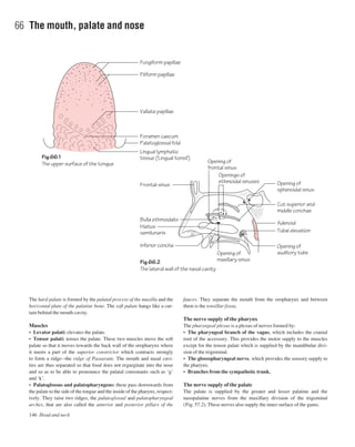 The hard palate is formed by the palatal process of the maxilla and the
horizontal plate of the palatine bone. The soft palate hangs like a cur-
tain behind the mouth cavity.
Muscles
• Levator palati: elevates the palate.
• Tensor palati: tenses the palate. These two muscles move the soft
palate so that it moves towards the back wall of the oropharynx where
it meets a part of the superior constrictor which contracts strongly
to form a ridgeathe ridge of Passavant. The mouth and nasal cavi-
ties are thus separated so that food does not regurgitate into the nose
and so as to be able to pronounce the palatal consonants such as ‘g’
and ‘k’.
• Palatoglossus and palatopharyngeus: these pass downwards from
the palate to the side of the tongue and the inside of the pharynx, respect-
ively. They raise two ridges, the palatoglossal and palatopharyngeal
arches, that are also called the anterior and posterior pillars of the
fauces. They separate the mouth from the oropharynx and between
them is the tonsillar fossa.
The nerve supply of the pharynx
The pharyngeal plexus is a plexus of nerves formed by:
• The pharyngeal branch of the vagus, which includes the cranial
root of the accessory. This provides the motor supply to the muscles
except for the tensor palati which is supplied by the mandibular divi-
sion of the trigeminal.
• The glossopharyngeal nerve, which provides the sensory supply to
the pharynx.
• Branches from the sympathetic trunk.
The nerve supply of the palate
The palate is supplied by the greater and lesser palatine and the
nasopalatine nerves from the maxillary division of the trigeminal
(Fig. 57.2). These nerves also supply the inner surface of the gums.
146 Head and neck
66 The mouth, palate and nose
Fig.66.1
The upper surface of the tongue
Fig.66.2
The lateral wall of the nasal cavity
Fungiform papillae
Filiform papillae
Frontal sinus Opening of
sphenoidal sinus
Openings of
ethmoidal sinuses
Opening of
frontal sinus
Vallate papillae
Foramen caecum
Palatoglossal fold
Lingual lymphatic
tissue ('Lingual tonsil')
Bulla ethmoidalis
Hiatus
semilunaris
Inferior concha
Cut superior and
middle conchae
Adenoid
Tubal elevation
Opening of
auditory tubeOpening of
maxillary sinus
 