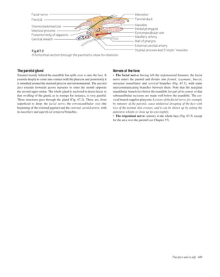 The face and scalp 149
Fig.67.2
A horizontal section through the parotid to show its relations
Facial nerve
Parotid
Sternocleidomastoid
Mastoid process
Posterior belly of digastric
Carotid sheath
Parotid duct
Masseter
Mandible
Medial pterygoid
Retromandibular vein
Maxillary artery
Wall of pharynx
External carotid artery
Styloid process and 3 'stylo-' muscles
The parotid gland
Situated mainly behind the mandible but spills over it onto the face. It
extends deeply to come into contact with the pharynx and posteriorly it
is moulded around the mastoid process and sternomastoid. The parotid
duct extends forwards across masseter to enter the mouth opposite
the second upper molar. The whole gland is enclosed in dense fascia so
that swelling of the gland, as in mumps for instance, is very painful.
Three structures pass through the gland (Fig. 67.2). These are, from
superﬁcial to deep: the facial nerve, the retromandibular vein (the
beginning of the external jugular) and the external carotid artery, with
its maxillary and superﬁcial temporal branches.
Nerves of the face
• The facial nerve: having left the stylomastoid foramen, the facial
nerve enters the parotid and divides into frontal, zygomatic, buccal,
marginal mandibular and cervical branches (Fig. 67.3), with some
intercommunicating branches between them. Note that the marginal
mandibular branch lies below the mandible for part of its course so that
submandibular incisions are made well below the mandible. The cer-
vical branch supplies platysma. Lesions of the facial nerve, for example
by tumours of the parotid, cause unilateral drooping of the face with
loss of the normal skin creases, and it can be shown up by asking the
patient to whistle or close up his eyes tightly.
• The trigeminal nerve: sensory to the whole face (Fig. 67.3) except
for the area over the parotid (see Chapter 57).
 