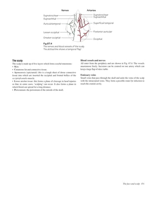The face and scalp 151
Fig.67.4
The nerves and blood vessels of the scalp.
The dotted line shows a temporal 'flap'
Greater occipital
Lesser occipital
Auriculotemporal
Supraorbital
Supratrochear
Nerves Arteries
Supraorbital
Supratrochear
Superficial temporal
Posterior auricular
Occipital
The scalp
The scalp is made up of ﬁve layers which form a useful mnemonic:
• Skin.
• Cutaneous fat and connective tissue.
• Aponeurosis (epicranial): this is a tough sheet of dense connective
tissue into which are inserted the occipital and frontal bellies of the
occipitofrontalis muscle.
• Loose areolar tissue: this forms a plane of cleavage in head injuries
so that, in some cases, ‘scalping’ can occur. It also forms a plane in
which blood can spread for a long distance.
• Pericranium: the periosteum of the outside of the skull.
Blood vessels and nerves
All enter from the periphery and are shown in Fig. 67.4. The vessels
anastomose freely. Incisions can be centred on one artery which can
keep a large ﬂap of skin viable.
Emissary veins
Small veins that pass through the skull and unite the veins of the scalp
with the intracranial veins. They form a possible route for infection to
reach the cranial cavity.
 