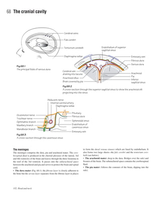 The meninges
The meninges comprise the dura, pia and arachnoid mater. The cere-
brospinal ﬂuid is produced in the choroid plexuses of the lateral, 3rd
and 4th ventricles of the brain and leaves through the three foramina in
the roof of the 3rd ventricle. It passes into the subarachnoid space
between the arachnoid and pia and serves to protect the brain and spinal
cord.
• The dura mater (Fig. 68.1): the ﬁbrous layer is closely adherent to
the bone but the serous layer separates from the ﬁbrous layer in places
to form the dural venous sinuses which are lined by endothelium. It
also forms two large sheetsathe falx cerebri and the tentorium cere-
belli (see below).
• The arachnoid mater: deep to the dura. Bridges over the sulci and
ﬁssures of the brain. The subarachnoid space contains the cerebrospinal
ﬂuid.
• The pia mater: follows the contours of the brain, dipping into the
sulci.
152 Head and neck
68 The cranial cavity
Cerebral veins
Fig.68.1
The principal folds of serous dura
Fig.68.3
A cross-section through the cavernous sinus
Fig.68.2
A cross-section through the superior sagittal sinus to show the arachnoid villi
projecting into the sinus
Falx cerebri
Emissary vein
Fibrous dura
Inferior
sagittal sinus
Arachnoid villus
Cerebral vein
draining into lacuna
Pia
Arachnoid
Brain covered by pia
Tentorium cerebelli
Diaphragma sellae
Oculomotor nerve
Trochlear nerve
Ophthalmic branch
Maxillary branch
Mandibular branch
Pituitary
Endothelium of superior
sagittal sinus
Diaphragma sellae
Internal carotid artery
Abducent nerve
Serous dura
Sphenoidal sinus
Endothelium of
cavernous sinus
Fibrous dura
Emissary vein
 