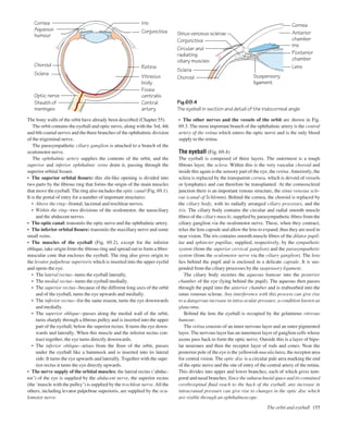 The bony walls of the orbit have already been described (Chapter 55).
The orbit contains the eyeball and optic nerve, along with the 3rd, 4th
and 6th cranial nerves and the three branches of the ophthalmic division
of the trigeminal nerve.
The parasympathetic ciliary ganglion is attached to a branch of the
oculomotor nerve.
The ophthalmic artery supplies the contents of the orbit, and the
superior and inferior ophthalmic veins drain it, passing through the
superior orbital ﬁssure.
• The superior orbital ﬁssure: this slit-like opening is divided into
two parts by the ﬁbrous ring that forms the origin of the main muscles
that move the eyeball. The ring also includes the optic canal (Fig. 69.1).
It is the portal of entry for a number of important structures:
• Above the ringafrontal, lacrimal and trochlear nerves.
• Within the ringatwo divisions of the oculomotor, the nasociliary
and the abducent nerves.
• The optic canal: transmits the optic nerve and the ophthalmic artery.
• The inferior orbital ﬁssure: transmits the maxillary nerve and some
small veins.
• The muscles of the eyeball (Fig. 69.2), except for the inferior
oblique, take origin from the ﬁbrous ring and spread out to form a ﬁbro-
muscular cone that encloses the eyeball. The ring also gives origin to
the levator palpebrae superioris which is inserted into the upper eyelid
and opens the eye.
• The lateral rectusaturns the eyeball laterally.
• The medial rectusaturns the eyeball medially.
• The superior rectusabecause of the different long axes of the orbit
and of the eyeball, turns the eye upwards and medially.
• The inferior rectusafor the same reason, turns the eye downwards
and medially.
• The superior obliqueapasses along the medial wall of the orbit,
turns sharply through a ﬁbrous pulley and is inserted into the upper
part of the eyeball, below the superior rectus. It turns the eye down-
wards and laterally. When this muscle and the inferior rectus con-
tract together, the eye turns directly downwards.
• The inferior obliqueaarises from the ﬂoor of the orbit, passes
under the eyeball like a hammock and is inserted into its lateral
side. It turns the eye upwards and laterally. Together with the supe-
rior rectus it turns the eye directly upwards.
• The nerve supply of the orbital muscles: the lateral rectus (‘abduc-
tor’) of the eye is supplied by the abducent nerve, the superior rectus
(the ‘muscle with the pulley’) is supplied by the trochlear nerve. All the
others, including levator palpebrae superioris, are supplied by the ocu-
lomotor nerve.
• The other nerves and the vessels of the orbit are shown in Fig.
69.3. The most important branch of the ophthalmic artery is the central
artery of the retina which enters the optic nerve and is the only blood
supply to the retina.
The eyeball (Fig. 69.4)
The eyeball is composed of three layers. The outermost is a tough
ﬁbrous layer, the sclera. Within this is the very vascular choroid and
inside this again is the sensory part of the eye, the retina. Anteriorly, the
sclera is replaced by the transparent cornea, which is devoid of vessels
or lymphatics and can therefore be transplanted. At the corneoscleral
junction there is an important venous structure, the sinus venosus scle-
rae (canal of Schlemm). Behind the cornea, the choroid is replaced by
the ciliary body, with its radially arranged ciliary processes, and the
iris. The ciliary body contains the circular and radial smooth muscle
ﬁbres of the ciliary muscle, supplied by parasympathetic ﬁbres from the
ciliary ganglion via the oculomotor nerve. These, when they contract,
relax the lens capsule and allow the lens to expand; thus they are used in
near vision. The iris contains smooth muscle ﬁbres of the dilator pupil-
lae and sphincter pupillae, supplied, respectively, by the sympathetic
system (from the superior cervical ganglion) and the parasympathetic
system (from the oculomotor nerve via the ciliary ganglion). The lens
lies behind the pupil and is enclosed in a delicate capsule. It is sus-
pended from the ciliary processes by the suspensory ligament.
The ciliary body secretes the aqueous humour into the posterior
chamber of the eye (lying behind the pupil). The aqueous then passes
through the pupil into the anterior chamber and is reabsorbed into the
sinus venosus sclerae. Any interference with this process can give rise
to a dangerous increase in intra-ocular pressure, a condition known as
glaucoma.
Behind the lens the eyeball is occupied by the gelatinous vitreous
humour.
The retina consists of an inner nervous layer and an outer pigmented
layer. The nervous layer has an innermost layer of ganglion cells whose
axons pass back to form the optic nerve. Outside this is a layer of bipo-
lar neurones and then the receptor layer of rods and cones. Near the
posterior pole of the eye is the yellowish macula lutea, the receptor area
for central vision. The optic disc is a circular pale area marking the end
of the optic nerve and the site of entry of the central artery of the retina.
This divides into upper and lower branches, each of which gives tem-
poral and nasal branches. Since the subarachnoid space and its contained
cerebrospinal ﬂuid reach to the back of the eyeball, any increase in
intracranial pressure can give rise to changes in the optic disc which
are visible through an ophthalmoscope.
The orbit and eyeball 155
Fig.69.4
The eyeball in section and detail of the iridocorneal angle
Cornea
Conjunctiva
Iris
Sclera
Choroid Retina
Vitreous
body
Aqueous
humour
Central
artery
Sheath of
meninges
Optic nerve
Fovea
centralis
Cornea
Suspensory
ligament
Lens
Sclera
Choroid
Circular and
radiating
ciliary muscles
Sinus venosus sclerae
Conjunctiva
Anterior
chamber
Posterior
chamber
Iris
 