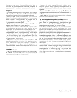 The respiratory tract is most often discussed in terms of upper and
lower parts. The upper respiratory tract relates to the nasopharynx and
larynx whereas the lower relates to the trachea, bronchi and lungs.
The pleurae
• Each pleura consists of two layers: a visceral layer which is adherent
to the lung and a parietal layer which lines the inner aspect of the chest
wall, diaphragm and sides of the pericardium and mediastinum.
• At the hilum of the lung the visceral and parietal layers become con-
tinuous. This cuff hangs loosely over the hilum and is known as the pul-
monary ligament. It permits expansion of the pulmonary veins and
movement of hilar structures during respiration (Fig. 5.1).
• The two pleural cavities do not connect.
• The pleural cavity contains a small amount of pleural ﬂuid which acts
as a lubricant decreasing friction between the pleurae.
• During maximal inspiration the lungs almost ﬁll the pleural cavities.
In quiet inspiration the lungs do not expand fully into the costo-
diaphragmatic and costomediastinal recesses of the pleural cavity.
• The parietal pleura is sensitive to pain and touch (carried by the inter-
costal and phrenic nerves). The visceral pleura is sensitive only to
stretch (carried by autonomic afferents from the pulmonary plexus).
Air can enter the pleural cavity following a fractured rib or a torn
lung (pneumothorax). This eliminates the normal negative pleural
pressure, causing the lung to collapse.
Inﬂammation of the pleura (pleurisy) results from infection of the
adjacent lung (pneumonia). When this occurs the inﬂammatory process
renders the pleura sticky. Under these circumstances a pleural rub can
often be auscultated over the affected region during inspiration and
expiration. Pus in the pleural cavity (secondary to an infective process)
is termed an empyema.
The trachea (Fig. 5.2)
• Course: the trachea commences at the level of the cricoid cartilage in
the neck (C6). It terminates at the level of the angle of Louis (T4/5)
where it bifurcates into right and left main bronchi.
• Structure: the trachea is a rigid ﬁbroelastic structure. Incom-
plete rings of hyaline cartilage continuously maintain the patency of
the lumen. The trachea is lined internally with ciliated columnar
epithelium.
• Relations: behind the trachea lies the oesophagus. The 2nd, 3rd and
4th tracheal rings are crossed anteriorly by the thyroid isthmus (Figs 5.3
and 64.1).
• Blood supply: the trachea receives its blood supply from branches of
the inferior thyroid and bronchial arteries.
The bronchi and bronchopulmonary segments (Fig. 5.2)
• The right main bronchus is shorter, wider and takes a more vertical
course than the left. The width and vertical course of the right main
bronchus account for the tendency for inhaled foreign bodies to prefer-
entially impact in the right middle and lower lobe bronchi.
• The left main bronchus enters the hilum and divides into a superior
and inferior lobar bronchus. The right main bronchus gives off the
bronchus to the upper lobe prior to entering the hilum and once into the
hilum divides into middle and inferior lobar bronchi.
• Each lobar bronchus divides within the lobe into segmental bronchi.
Each segmental bronchus enters a bronchopulmonary segment.
• Each bronchopulmonary segment is pyramidal in shape with its apex
directed towards the hilum (see Fig. 6.1). It is a structural unit of a lobe
that has its own segmental bronchus, artery and lymphatics. If one
bronchopulmonary segment is diseased it may be resected with pre-
servation of the rest of the lobe. The veins draining each segment are
intersegmental.
Bronchial carcinoma is the commonest cancer among men in the
United Kingdom. Four main histological types occur of which small
cell carries the worst prognosis. The overall prognosis remains
appalling with only 10% of sufferers surviving 5 years. It occurs most
commonly in the mucous membranes lining the major bronchi near the
hilum. Local invasion and spread to hilar and tracheobronchial nodes
occurs early.
The pleura and airways 15
 
