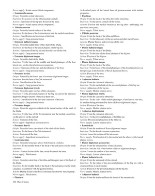 Nerve supply: Sciatic nerve (tibial component).
• Semimembranosus
Origin: From the ischial tuberosity.
Insertion: To a groove on the tibial medial condyle.
Actions: Extension of the hip and ﬂexion of the knee.
Nerve supply: Sciatic nerve (tibial component).
• Tibialis anterior
Origin: From the lateral surface of the tibia.
Insertion: To the base of the 1st metatarsal and the medial cuneiform.
Actions: Dorsiﬂexion and inversion of the foot.
Nerve supply: Deep peroneal nerve.
• Extensor hallucis longus
Origin: From the middle third of the shaft of the ﬁbula.
Insertion: To the base of the distal phalanx of the big toe.
Actions: Extension of the big toe and dorsiﬂexion of the foot.
Nerve supply: Deep peroneal nerve.
• Extensor digitorum longus
Origin: From the shaft of the ﬁbula.
Insertion: To the bases of the middle and distal phalanges of the four
lateral toes via the dorsal extensor expansions.
Actions: Extension of the toes and dorsiﬂexion of the foot.
Nerve supply: Deep peroneal nerve.
• Peroneus tertius
Origin: Formed by the lower part of extensor digitorum longus.
Insertion: Into the base of the 5th metatarsal.
Action: Dorsiﬂexion of the foot.
Nerve supply: Deep peroneal nerve.
• Extensor digitorum brevis
Origin: From the upper surface of the calcaneus.
Insertion: To the proximal phalanx of the big toe and to the extensor
digitorum longus tendons of the next three toes.
Actions: Dorsiﬂexion of the foot and extension of the toes.
Nerve supply: Deep peroneal nerve.
• Peroneus longus
Origin: From the upper two-thirds of the lateral surface of the shaft of
the ﬁbula.
Insertion: To the base of the 1st metatarsal and the medial cuneiform,
via the groove on the cuboid.
Action: Eversion of the foot.
Nerve supply: Superﬁcial peroneal nerve.
• Peroneus brevis
Origin: From the lower two-thirds of the shaft of the ﬁbula.
Insertion: To the base of the 5th metatarsal.
Action: Eversion of the foot.
Nerve supply: Superﬁcial peroneal nerve.
• Gastrocnemius
Origin: From the femur just above both femoral condyles.
Insertion: To the middle third of the back of the calcaneus via the tendo
calcaneus.
Actions: Plantar ﬂexion of the foot; weak ﬂexion of the knee.
Nerve supply: Tibial nerve.
• Soleus
Origin: From the soleal line of the tibia and the upper part of the back of
the ﬁbula.
Insertion: To the middle third of the back of the calcaneus via the tendo
calcaneus in common with the gastrocnemius.
Actions:Plantarﬂexionofthefoot.Isthemainfactorinthe‘musclepump’.
Nerve supply: Tibial nerve.
• Plantaris
166 Muscle index
A detached piece of the lateral head of gastrocnemius with similar
properties.
• Popliteus
Origin: From the back of the tibia above the soleal line.
Insertion: To the lateral condyle of the femur.
Actions: Flexion and medial rotation of the leg (thus ‘unlocking’ the
extended knee joint).
Nerve supply: Tibial nerve.
• Tibialis posterior
Origin: From the back of the tibia and ﬁbula.
Insertion: To the tuberosity of the navicular and other tarsal bones.
Actions: Plantar ﬂexion and inversion of the foot.
Nerve supply: Tibial nerve.
• Flexor hallucis longus
Origin: From the back of the ﬁbula.
Insertion: To the base of the distal phalanx of the big toe.
Action: Flexion of the big toe.
Nerve supply: Tibial nerve.
• Flexor digitorum longus
Origin: From the back of the tibia.
Insertion: To the bases of the distal phalanges of the four lateral toes via
the openings in the tendons of ﬂexor digitorum brevis.
Action: Flexion of the toes.
Nerve supply: Tibial nerve.
• Abductor hallucis
Origin: From the calcaneal tuberosity.
Insertion: To the medial side of the proximal phalanx of the big toe.
Action: Abduction of the big toe.
Nerve supply: Medial plantar nerve.
• Flexor digitorum brevis
Origin: From the calcaneal tuberosity.
Insertion: To the sides of the middle phalanges of the lateral four toes,
its tendons being perforated by those of ﬂexor digitorum longus.
Action: Flexion of the toes.
Nerve supply: Medial plantar nerve.
• Abductor digiti minimi
Origin: From the calcaneal tuberosity.
Insertion: To the proximal phalanx of the little toe.
Actions: Flexion and abduction of the little toe.
Nerve supply: Lateral plantar nerve.
• Lumbricals
Origin: From the tendons of ﬂexor digitorum longus.
Insertion: To the dorsal extensor expansions.
Actions: Assist the actions of the interossei.
Nerve supply: First lumbrical by the medial and the others by the lateral
plantar nerves.
• Flexor digitorum accessorius
Origin: From the undersurface of the calcaneus.
Insertion: Into the side of the tendon of ﬂexor digitorum longus.
Action: Tenses the tendon of this muscle.
Nerve supply: Lateral plantar nerve.
• Flexor hallucis brevis
Origin: From the underside of the cuboid.
Insertion: To the sides of the proximal phalanx of the big toe with a
sesamoid bone in each tendon.
Action: Flexion of the proximal phalanx of the big toe.
Nerve supply: Medial plantar nerve.
• Adductor hallucis
Origin: From the heads and from the bases of the metatarsals.
 