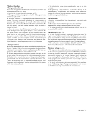 The heart chambers
The right atrium (Fig. 7.3)
• Receives deoxygenated blood from the inferior vena cava below and
from the superior vena cava above.
• Receives the coronary sinus in its lower part (p. 23).
• The upper end of the atrium projects to the left of the superior vena
cava as the right auricle.
• The sulcus terminalis is a vertical groove on the outer surface of the
atrium. This groove corresponds internally to the crista terminalisaa
muscular ridge which separates the smooth walled atrium (derived
from the sinus venosus) from the rest of the atrium (derived from the
true fetal atrium). The latter contains horizontal ridges of musclea
musculi pectinati.
• Above the coronary sinus the interatrial septum forms the posterior
wall. The depression in the septumathe fossa ovalisarepresents the
site of the foramen ovale. Its ﬂoor is the fetal septum primum. The
upper ridge of the fossa ovalis is termed the limbus, which represents
the septum secundum. Failure of fusion of the septum primum with the
septum secundum gives rise to a patent foramen ovale (atrial septal
defect) but as long as the two septa still overlap, there will be no func-
tional disability. A patent foramen gives rise to a left–right shunt.
The right ventricle
• Receives blood from the right atrium through the tricuspid valve (see
below). The edges of the valve cusps are attached to chordae tendineae
which are, in turn, attached below to papillary muscles. The latter are
projections of muscle bundles on the ventricular wall.
• The wall of the right ventricle is thicker than that of the atria but not
as thick as that of the left ventricle. The wall contains a mass of muscu-
lar bundles known as trabeculae carneae. One prominent bundle pro-
jects forwards from the interventricular septum to the anterior wall.
This is the moderator band (or septomarginal trabecula) and is of
importance in the conduction of impulses as it contains the right branch
of the atrioventricular bundle.
• The infundibulum is the smooth walled outﬂow tract of the right
ventricle.
• The pulmonary valve (see below) is situated at the top of the
infundibulum. It is composed of three semilunar cusps. Blood ﬂows
through the valve and into the pulmonary arteries via the pulmonary
trunk to be oxygenated in the lungs.
The left atrium
• Receives oxygenated blood from four pulmonary veins which drain
posteriorly.
• The cavity is smooth walled except for the atrial appendage.
• On the septal surface a depression marks the fossa ovalis.
• The mitral (bicuspid) valve guards the passage of blood from the left
atrium to the left ventricle.
The left ventricle (Fig. 7.4)
• The wall of the left ventricle is considerably thicker than that of the
right ventricle but the structure is similar. The thick wall is necessary to
pump oxygenated blood at high pressure through the systemic circula-
tion. Trabeculae carneae project from the wall with papillary muscles
attached to the mitral valve cusp edges by way of chordae tendineae.
• The vestibule is a smooth walled part of the left ventricle which is
located below the aortic valve and constitutes the outﬂow tract.
The heart valves (Fig. 7.5)
• Thepurposeofvalveswithintheheartistomaintainunidirectionalﬂow.
• The mitral (bicuspid) and tricuspid valves are ﬂat. During ventricular
systole the free edges of the cusps come into contact and eversion is
prevented by the pull of the chordae. Papillary muscle rupture can
occur as a complication of myocardial infarction. This is evident clin-
ically by a pansystolic murmur representing regurgitant ﬂow of blood
from ventricle to atrium.
• The aortic and pulmonary valves are composed of three semilunar
cusps which are cup shaped. During ventricular diastole back-pressure
of blood above the cusps forces them to ﬁll and hence close.
The heart I 21
 