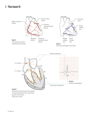 22 Thorax
8 The heart II
Left coronary
artery
Posterior
interventricular
branch
Marginal
artery
50
40
3525
1235
55
65
15
0
Right coronary
artery
Anterior
interventricular
branch
S–A node
Atrial conduction
Ventricular conduction
A–V node
Coronary
sinus
Small
cardiac
vein
Middle
cardiac
vein
Great
cardiac
vein
QRS
TP
Fig.8.1
The coronary arteries.
Variations are common
Fig.8.3
The direction and timing of the spread
of action potential in the conducting
system of the heart.
Times are in msec
Fig.8.2
The venous drainage of the heart
Fig.8.4
An electrocardiogram
 