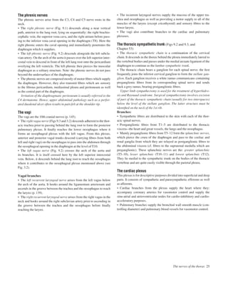 The phrenic nerves
The phrenic nerves arise from the C3, C4 and C5 nerve roots in the
neck.
• The right phrenic nerve (Fig. 9.1) descends along a near vertical
path, anterior to the lung root, lying on sequentially: the right brachio-
cephalic vein, the superior vena cava, and the right atrium before pass-
ing to the inferior vena caval opening in the diaphragm (T8). Here the
right phrenic enters the caval opening and immediately penetrates the
diaphragm which it supplies.
• The left phrenic nerve (Fig. 9.2) descends alongside the left subcla-
vian artery. On the arch of the aorta it passes over the left superior inter-
costal vein to descend in front of the left lung root onto the pericardium
overlying the left ventricle. The left phrenic then pierces the muscular
diaphragm as a solitary structure. Note: the phrenic nerves do not pass
beyond the undersurface of the diaphragm.
• The phrenic nerves are composed mostly of motor ﬁbres which supply
the diaphragm. However, they also transmit ﬁbres which are sensory
to the ﬁbrous pericardium, mediastinal pleura and peritoneum as well
as the central part of the diaphragm.
Irritation of the diaphragmatic peritoneum is usually referred to the
C4 dermatome. Hence, upper abdominal pathology such as a perfor-
ated duodenal ulcer often results in pain felt at the shoulder tip.
The vagi
The vagi are the 10th cranial nerves (p. 145).
• The right vagus nerve (Figs 9.3 and 3.2) descends adherent to the thor-
acic trachea prior to passing behind the lung root to form the posterior
pulmonary plexus. It ﬁnally reaches the lower oesophagus where it
forms an oesophageal plexus with the left vagus. From this plexus,
anterior and posterior vagal trunks descend (carrying ﬁbres from both
left and right vagi) on the oesophagus to pass into the abdomen through
the oesophageal opening in the diaphragm at the level of T10.
• The left vagus nerve (Fig. 9.2) crosses the arch of the aorta and
its branches. It is itself crossed here by the left superior intercostal
vein. Below, it descends behind the lung root to reach the oesophagus
where it contributes to the oesophageal plexus mentioned above (see
Fig. 3.2).
Vagal branches
• The left recurrent laryngeal nerve arises from the left vagus below
the arch of the aorta. It hooks around the ligamentum arteriosum and
ascends in the groove between the trachea and the oesophagus to reach
the larynx (p. 139).
• The right recurrent laryngeal nerve arises from the right vagus in the
neck and hooks around the right subclavian artery prior to ascending in
the groove between the trachea and the oesophagus before ﬁnally
reaching the larynx.
• The recurrent laryngeal nerves supply the mucosa of the upper tra-
chea and oesophagus as well as providing a motor supply to all of the
muscles of the larynx (except cricothyroid) and sensory ﬁbres to the
lower larynx.
• The vagi also contribute branches to the cardiac and pulmonary
plexuses.
The thoracic sympathetic trunk (Figs 9.2 and 9.3, and
Chapter 53)
• The thoracic sympathetic chain is a continuation of the cervical
chain. It descends in the thorax behind the pleura immediately lateral to
the vertebral bodies and passes under the medial arcuate ligament of the
diaphragm to continue as the lumbar sympathetic trunk.
• The thoracic chain bears a ganglion for each spinal nerve; the ﬁrst
frequently joins the inferior cervical ganglion to form the stellate gan-
glion. Each ganglion receives a white ramus communicans containing
preganglionic ﬁbres from its corresponding spinal nerve and sends
back a grey ramus, bearing postganglionic ﬁbres.
Upper limb sympathectomy is used for the treatment of hyperhidro-
sis and Raynaud syndrome. Surgical sympathectomy involves excision
of part of the thoracic sympathetic chain (usually for two interspaces)
below the level of the stellate ganglion. The latter structure must be
identiﬁed on the neck of the 1st rib.
Branches:
• Sympathetic ﬁbres are distributed to the skin with each of the thor-
acic spinal nerves.
• Postganglionic ﬁbres from T1–5 are distributed to the thoracic
visceraathe heart and great vessels, the lungs and the oesophagus.
• Mainly preganglionic ﬁbres from T5–12 form the splanchnic nerves,
which pierce the crura of the diaphragm and pass to the coeliac and
renal ganglia from which they are relayed as postganglionic ﬁbres to
the abdominal viscera (cf. ﬁbres to the suprarenal medulla which are
preganglionic). These splanchnic nerves are the: greater splanchnic
(T5–10), lesser splanchnic (T10–11) and lowest splanchnic (T12).
They lie medial to the sympathetic trunk on the bodies of the thoracic
vertebrae and are quite easily visible through the parietal pleura.
The cardiac plexus
This plexus is for descriptive purposes divided into superﬁcial and deep
parts. It consists of sympathetic and parasympathetic efferents as well
as afferents.
• Cardiac branches from the plexus supply the heart where they:
accompany coronary arteries for vasomotor control and supply the
sinu-atrial and atrioventricular nodes for cardio-inhibitory and cardio-
acceleratory purposes.
• Pulmonary branches supply the bronchial wall smooth muscle (con-
trolling diameter) and pulmonary blood vessels for vasomotor control.
The nerves of the thorax 25
 