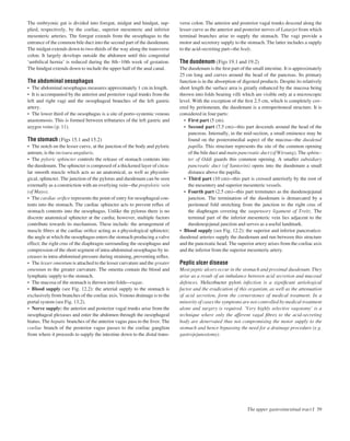 The embryonic gut is divided into foregut, midgut and hindgut, sup-
plied, respectively, by the coeliac, superior mesenteric and inferior
mesenteric arteries. The foregut extends from the oesophagus to the
entrance of the common bile duct into the second part of the duodenum.
The midgut extends down to two-thirds of the way along the transverse
colon. It largely develops outside the abdomen until this congenital
‘umbilical hernia’ is reduced during the 8th–10th week of gestation.
The hindgut extends down to include the upper half of the anal canal.
The abdominal oesophagus
• The abdominal oesophagus measures approximately 1 cm in length.
• It is accompanied by the anterior and posterior vagal trunks from the
left and right vagi and the oesophageal branches of the left gastric
artery.
• The lower third of the oesophagus is a site of porto-systemic venous
anastomosis. This is formed between tributaries of the left gastric and
azygos veins (p. 11).
The stomach (Figs 15.1 and 15.2)
• The notch on the lesser curve, at the junction of the body and pyloric
antrum, is the incisura angularis.
• The pyloric sphincter controls the release of stomach contents into
the duodenum. The sphincter is composed of a thickened layer of circu-
lar smooth muscle which acts as an anatomical, as well as physiolo-
gical, sphincter. The junction of the pylorus and duodenum can be seen
externally as a constriction with an overlying veinathe prepyloric vein
(of Mayo).
• The cardiac oriﬁce represents the point of entry for oesophageal con-
tents into the stomach. The cardiac sphincter acts to prevent reﬂux of
stomach contents into the oesophagus. Unlike the pylorus there is no
discrete anatomical sphincter at the cardia; however, multiple factors
contribute towards its mechanism. These include: the arrangement of
muscle ﬁbres at the cardiac oriﬁce acting as a physiological sphincter;
the angle at which the oesophagus enters the stomach producing a valve
effect; the right crus of the diaphragm surrounding the oesophagus and
compression of the short segment of intra-abdominal oesophagus by in-
creases in intra-abdominal pressure during straining, preventing reﬂux.
• The lesser omentum is attached to the lesser curvature and the greater
omentum to the greater curvature. The omenta contain the blood and
lymphatic supply to the stomach.
• The mucosa of the stomach is thrown into foldsarugae.
• Blood supply (see Fig. 12.2): the arterial supply to the stomach is
exclusively from branches of the coeliac axis. Venous drainage is to the
portal system (see Fig. 13.2).
• Nerve supply: the anterior and posterior vagal trunks arise from the
oesophageal plexuses and enter the abdomen through the oesophageal
hiatus. The hepatic branches of the anterior vagus pass to the liver. The
coeliac branch of the posterior vagus passes to the coeliac ganglion
from where it proceeds to supply the intestine down to the distal trans-
verse colon. The anterior and posterior vagal trunks descend along the
lesser curve as the anterior and posterior nerves of Latarjet from which
terminal branches arise to supply the stomach. The vagi provide a
motor and secretory supply to the stomach. The latter includes a supply
to the acid-secreting partathe body.
The duodenum (Figs 19.1 and 19.2)
The duodenum is the ﬁrst part of the small intestine. It is approximately
25 cm long and curves around the head of the pancreas. Its primary
function is in the absorption of digested products. Despite its relatively
short length the surface area is greatly enhanced by the mucosa being
thrown into folds bearing villi which are visible only at a microscopic
level. With the exception of the ﬁrst 2.5 cm, which is completely cov-
ered by peritoneum, the duodenum is a retroperitoneal structure. It is
considered in four parts:
• First part (5 cm).
• Second part (7.5 cm)athis part descends around the head of the
pancreas. Internally, in the mid-section, a small eminence may be
found on the posteromedial aspect of the mucosaathe duodenal
papilla. This structure represents the site of the common opening
of the bile duct and main pancreatic duct (of Wirsung). The sphinc-
ter of Oddi guards this common opening. A smaller subsidiary
pancreatic duct (of Santorini) opens into the duodenum a small
distance above the papilla.
• Third part (10 cm)athis part is crossed anteriorly by the root of
the mesentery and superior mesenteric vessels.
• Fourth part (2.5 cm)athis part terminates as the duodenojejunal
junction. The termination of the duodenum is demarcated by a
peritoneal fold stretching from the junction to the right crus of
the diaphragm covering the suspensory ligament of Treitz. The
terminal part of the inferior mesenteric vein lies adjacent to the
duodenojejunal junction and serves as a useful landmark.
• Blood supply (see Fig. 12.2): the superior and inferior pancreatico-
duodenal arteries supply the duodenum and run between this structure
and the pancreatic head. The superior artery arises from the coeliac axis
and the inferior from the superior mesenteric artery.
Peptic ulcer disease
Most peptic ulcers occur in the stomach and proximal duodenum. They
arise as a result of an imbalance between acid secretion and mucosal
defences. Helicobacter pylori infection is a signiﬁcant aetiological
factor and the eradication of this organism, as well as the attenuation
of acid secretion, form the cornerstones of medical treatment. In a
minority of cases the symptoms are not controlled by medical treatment
alone and surgery is required. ‘Very highly selective vagotomy’ is a
technique where only the afferent vagal ﬁbres to the acid-secreting
body are denervated thus not compromising the motor supply to the
stomach and hence bypassing the need for a drainage procedure (e.g.
gastrojejunostomy).
The upper gastrointestinal tract I 39
 