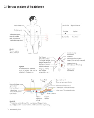 52 Abdomen and pelvis
22 Surface anatomy of the abdomen
L1
L2
L3
L4
Transpyloric plane
Costal margin
Vertical line
Subcostal plane
Level of umbilicus
Transtubercular plane
(a)
(b) Pubic tubercle
Conjoint
tendon
Inferior
epigastric
artery
Deep
ring
Superficial
ring
External oblique
aponeurosis
Spermatic cord
External spermatic fascia
Internal spermatic fascia
Internal oblique
Transversus
Fig.22.1
The nine regions
of the abdomen
Fig.22.2
McBurney's point and some
of the structures that may be
palpated in the abdomen
Fig.22.3
A horizontal section through the inguinal canal. Diagrammatic.
(a) and (b) show the sites of indirect and direct herniae respectively
Cremasteric fascia and muscle
Lower end of rectus abdominus
Transversalis fascia
Peritoneum
Linea alba
Epigastrium
Umbilical
Suprapubic
Hypochondrium
Lumbar
Iliac fossa
Liver, lower edge
(sometimes)
Sigmoid colon
(sometimes)
Linea semilunaris
(lateral border of rectus)
Spleen, anterior notched
margin (when grossly enlarged)
Gall bladder
(when distended)
Lower pole of right
kidney (sometimes)
McBurney's point
Inguinal ligament
Deep inguinal ring
and inferior
epigastric artery
 