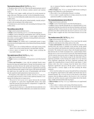 The brachial plexus (C5,6,7,8,T1) (Fig. 30.1)
• The plexus arises as ﬁve roots. These are the anterior primary rami of
C5,6,7,8,T1. The roots lie between scalenus anterior and scalenus
medius.
• The three trunks (upper, middle and lower) lie in the posterior tri-
angle of the neck. They pass over the 1st rib to lie behind the clavicle.
• The divisions form behind the middle third of the clavicle around the
axillary artery.
• The cords lie in the axilla and are related medially, laterally and pos-
teriorly to the second part of the axillary artery.
• Terminal nerves arise from the cords surrounding the third part of the
axillary artery.
The axillary nerve (C5,6)
• Type: mixed sensory and motor nerve.
• Origin: it arises from the posterior cord of the brachial plexus.
• Course: it passes through the quadrangular space with the posterior
circumﬂex humeral artery. It provides: a motor supply to deltoid and
teres minor; a sensory supply to the skin overlying deltoid; and an articu-
lar branch to the shoulder joint.
• Effect of injury: the axillary nerve is particularly prone to injury
from the downward displacement of the humeral head during shoulder
dislocations.
• Motor deﬁcitaloss of deltoid abduction with rapid wasting of this
muscle. Loss of teres minor function is not detectable clinically.
• Sensory deﬁcitais limited to the ‘badge’ region overlying the
lower half of deltoid.
The radial nerve (C5,6,7,8,T1) (Fig. 30.2)
• Type: mixed sensory and motor.
• Origin: it arises as a continuation of the posterior cord of the brachial
plexus.
• Course and branches: it runs with the profunda brachii artery
between the long and medial heads of triceps into the posterior com-
partment and down between the medial and lateral heads of triceps.
At the midpoint of the arm it enters the anterior compartment by piercing
the lateral intermuscular septum. In the region of the lateral epicondyle
the radial nerve lies under the cover of brachioradialis and divides
into the superﬁcial radial and posterior interosseous nerves.
The branches of the radial nerve include: branches to triceps, bra-
chioradialis and brachialis as well as some cutaneous branches. It ter-
minates by dividing into two major nerves:
• The posterior interosseous nerveapasses between the two heads
of supinator at a point three ﬁngerbreadths distal to the radial
head thus passing into the posterior compartment. It supplies the
extensor muscles of the forearm.
• The superﬁcial radial nerveadescends the forearm under the cover
of brachioradialis with the radial artery on its medial side. It termin-
ates as cutaneous branches supplying the skin of the back of the
wrist and hand.
• Effect of injury (Fig. 31.2): e.g. humeral shaft fracture resulting in
damage to the radial nerve in the spiral groove.
• Motor deﬁcitaloss of all forearm extensors: wristdrop.
• Sensory deﬁcitausually small due to overlap: sensory loss over the
anatomical snuffbox is usually constant.
The musculocutaneous nerve (C5,6,7)
• Type: mixed sensory and motor.
• Origin: it arises from the lateral cord of the brachial plexus.
• Course: it passes laterally through the two conjoined heads of cora-
cobrachialis and then descends the arm between brachialis and biceps,
supplying all three of these muscles en route. It pierces the deep fascia
just below the elbow (and becomes the lateral cutaneous nerve of the
forearm). Here it supplies the skin of the lateral forearm as far as the
wrist.
The median nerve (C6,7,8,T1) (Fig. 30.3)
• Type: mixed sensory and motor.
• Origin: it arises from the conﬂuence of two roots from the medial
and lateral cords lateral to the axillary artery in the axilla.
• Course and branches: the median nerve initially lies lateral to the
brachial artery but crosses it medially in the mid-arm. In the cubital
fossa it lies medial to the brachial artery which lies medial to the bicipi-
tal tendon. The median nerve passes deep to the bicipital aponeurosis
then between the two heads of pronator teres. A short distance below
this the anterior interosseous branch is given off. This branch descends
with the anterior interosseous artery to supply the deep muscles of the
ﬂexor compartment of the forearm except for the ulnar half of ﬂexor
digitorum profundus. In the forearm the median nerve lies between
ﬂexor digitorum superﬁcialis and ﬂexor digitorum profundus and
supplies the remaining ﬂexors except for ﬂexor carpi ulnaris. A short
distance above the wrist it emerges from the lateral side of ﬂexor
digitorum superﬁcialis and gives off the palmar cutaneous branch
which provides a sensory supply to the skin overlying the thenar
eminence.
At the wrist the median nerve passes beneath the ﬂexor retinaculum
(i.e. through the carpal tunnel) in the midline and divides here into its
terminal branches: the recurrent branch to the muscles of the thenar
eminence (but not adductor pollicis); the branches to the 1st and 2nd
lumbricals; and the cutaneous supply to the palmar skin of the thumb,
index, middle and lateral half of the ring ﬁngers.
• Effect of injury (see Fig. 31.2): e.g. compression as in carpal tunnel
syndrome.
• Motor deﬁcitaweakness and wasting of the thenar muscles.
• Sensory deﬁcitainvolves the skin over the lateral palm and lateral
three digits. This is highly variable due to overlap.
Nerves of the upper limb I 71
 