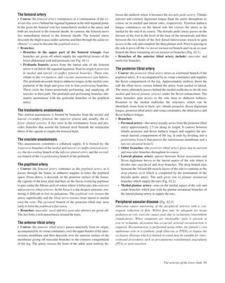The femoral artery
• Course: the femoral artery commences as a continuation of the ex-
ternal iliac artery behind the inguinal ligament at the mid-inguinal point.
In the groin the femoral vein lies immediately medial to the artery and
both are enclosed in the femoral sheath. In contrast, the femoral nerve
lies immediately lateral to the femoral sheath. The femoral artery
descends the thigh to pass under sartorius and then through the adductor
(Hunter’s) canal to become the popliteal artery.
• Branches:
• Branches in the upper part of the femoral triangleafour
branches are given off which supply the superﬁcial tissues of the
lower abdominal wall and perineum (see Fig. 44.1).
• Profunda femorisaarises from the lateral side of the femoral
artery 4 cm below the inguinal ligament. Near its origin it gives rise
to medial and lateral circumﬂex femoral branches. These con-
tribute to the trochanteric and cruciate anastomoses (see below).
The profunda descends deep to adductor longus in the medial com-
partment of the thigh and gives rise to four perforating branches.
These circle the femur posteriorly perforating, and supplying, all
muscles in their path. The profunda and perforating branches ulti-
mately anastomose with the genicular branches of the popliteal
artery.
The trochanteric anastomosis
This arterial anastomosis is formed by branches from the medial and
lateral circumﬂex femoral, the superior gluteal and, usually, the in-
ferior gluteal arteries. It lies close to the trochanteric fossa and pro-
vides branches that ascend the femoral neck beneath the retinacular
ﬁbres of the capsule to supply the femoral head.
The cruciate anastomosis
This anastomosis constitutes a collateral supply. It is formed by: the
transverse branches of the medial and lateral circumﬂex femoral arter-
ies, the descending branch of the inferior gluteal artery and the ascend-
ing branch of the 1st perforating branch of the profunda.
The popliteal artery
• Course: the femoral artery continues as the popliteal artery as it
passes through the hiatus in adductor magnus to enter the popliteal
space. From above, it descends on the posterior surface of the femur,
the capsule of the knee joint and then on the fascia overlying popliteus
to pass under the ﬁbrous arch of soleus where it bifurcates into anterior
and posterior tibial arteries. In the fossa it is the deepest structure, ren-
dering it difﬁcult to feel its pulsations. The popliteal vein crosses the
artery superﬁcially and the tibial nerve crosses from lateral to medial
over the vein. The peroneal branch of the posterior tibial may arise
early to form the popliteal trifurcation.
• Branches: muscular, sural and ﬁve genicular arteries are given off.
The last form a rich anastomosis around the knee.
The anterior tibial artery
• Course: the anterior tibial artery passes anteriorly from its origin,
accompanied by its venae comitantes, over the upper border of the inter-
osseous membrane and then descends over the anterior surface of the
membrane giving off muscular branches to the extensor compartment
of the leg. The artery crosses the front of the ankle joint midway be-
tween the malleoli where it becomes the dorsalis pedis artery. Tibialis
anterior and extensor digitorum longus ﬂank the artery throughout its
course on its medial and lateral sides, respectively. Extensor hallucis
longus commences on the lateral side but crosses the artery to lie
medial by the end of its course. The dorsalis pedis artery passes on the
dorsum of the foot to the level of the base of the metatarsals and then
between the two heads of the ﬁrst dorsal interosseous muscle to gain
access to the sole and complete the deep plantar arch. Prior to passing to
the sole it gives off the 1st dorsal metatarsal branch and via an arcuate
branch the three remaining dorsal metatarsal branches (Fig. 42.1).
• Branches of the anterior tibial artery include: muscular and
malleolar branches.
The posterior tibial artery
• Course: the posterior tibial artery arises as a terminal branch of the
popliteal artery. It is accompanied by its venae comitantes and supplies
the ﬂexor compartment of the leg. Approximately midway down the
calf the tibial nerve crosses behind the artery from medial to lateral.
The artery ultimately passes behind the medial malleolus to divide into
medial and lateral plantar arteries under the ﬂexor retinaculum. The
latter branches gain access to the sole deep to abductor hallucis.
Posterior to the medial malleolus the structures which can be
identiﬁedafrom front to backaare: tibialis posterior, ﬂexor digitorum
longus, posterior tibial artery and venae comitantes, the tibial nerve and
ﬂexor hallucis longus.
• Branches:
• Peroneal arteryathis artery usually arises from the posterior tibial
artery approximately 2.5 cm along its length. It courses between
tibialis posterior and ﬂexor hallucis longus and supplies the per-
oneal (lateral) compartment of the leg. It ends by dividing into a
perforating branch that pierces the interosseous membrane and a
lateral calcaneal branch.
• Other branchesathe posterior tibial artery gives rise to nutrient
and muscular branches throughout its course.
• Lateral plantar arteryapasses between ﬂexor accessorius and
ﬂexor digitorum brevis to the lateral aspect of the sole where it
divides into superﬁcial and deep branches. The deep branch runs
between the 3rd and 4th muscle layers of the sole to continue as the
deep plantar arch which is completed by the termination of the
dorsalis pedis artery. The arch gives rise to plantar metatarsal
branches which supply the toes (Fig. 42.2).
• Medial plantar arteryaruns on the medial aspect of the sole and
sends branches which join with the plantar metatarsal branches of
the lateral plantar artery to supply the toes.
Peripheral vascular disease (Fig. 42.3)
Atheroma causes narrowing of the peripheral arteries with a con-
sequent reduction in ﬂow. Whilst ﬂow may be adequate for tissue
perfusion at rest, exercise causes pain due to ischaemia (intermittent
claudication). When symptoms are intolerable, pain is present at
rest or ischaemic ulceration has occurred, arterial reconstruction is
required. Reconstruction is performed using either the patient’s own
saphenous vein or a synthetic graft (Dacron or PTFE) to bypass the
occlusion. Disease which is limited in extent may be suitable for inter-
ventional procedures such as percutaneous transluminal angioplasty
(PTA) or stent insertion.
The arteries of the lower limb 95
 
