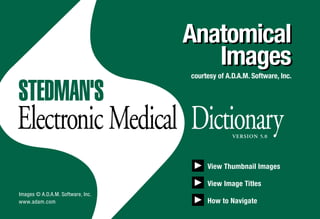 STEDMAN'S
Electronic Medical Dictionary
Images © A.D.A.M. Software, Inc.
www.adam.com
Anatomical
Images
Anatomical
Images
courtesy of A.D.A.M. Software, Inc.
VERSION 5.0
View Thumbnail Images
View Image Titles
How to Navigate
 