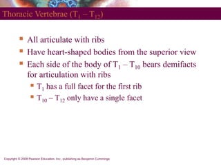 anatomy_axial_skeleton_pearson.ppt
