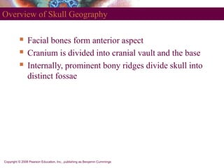 Prominent Bone anatomy_axial_skeleton_pearson.ppt