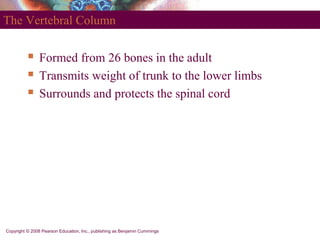 anatomy_axial_skeleton_pearson.ppt