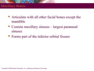 Copyright © 2008 Pearson Education, Inc., publishing as Benjamin Cummings
Maxillary Bones
 Articulate with all other faci...