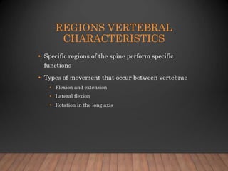 REGIONS VERTEBRAL
CHARACTERISTICS
• Specific regions of the spine perform specific
functions
• Types of movement that occu...