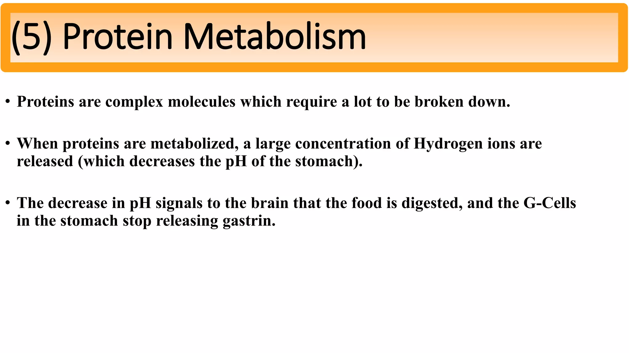 • Proteins are complex molecules which require a lot to be broken down.
• When proteins are metabolized, a large concentration of Hydrogen ions are
released (which decreases the pH of the stomach).
• The decrease in pH signals to the brain that the food is digested, and the G-Cells
in the stomach stop releasing gastrin.
(5) Protein Metabolism
 