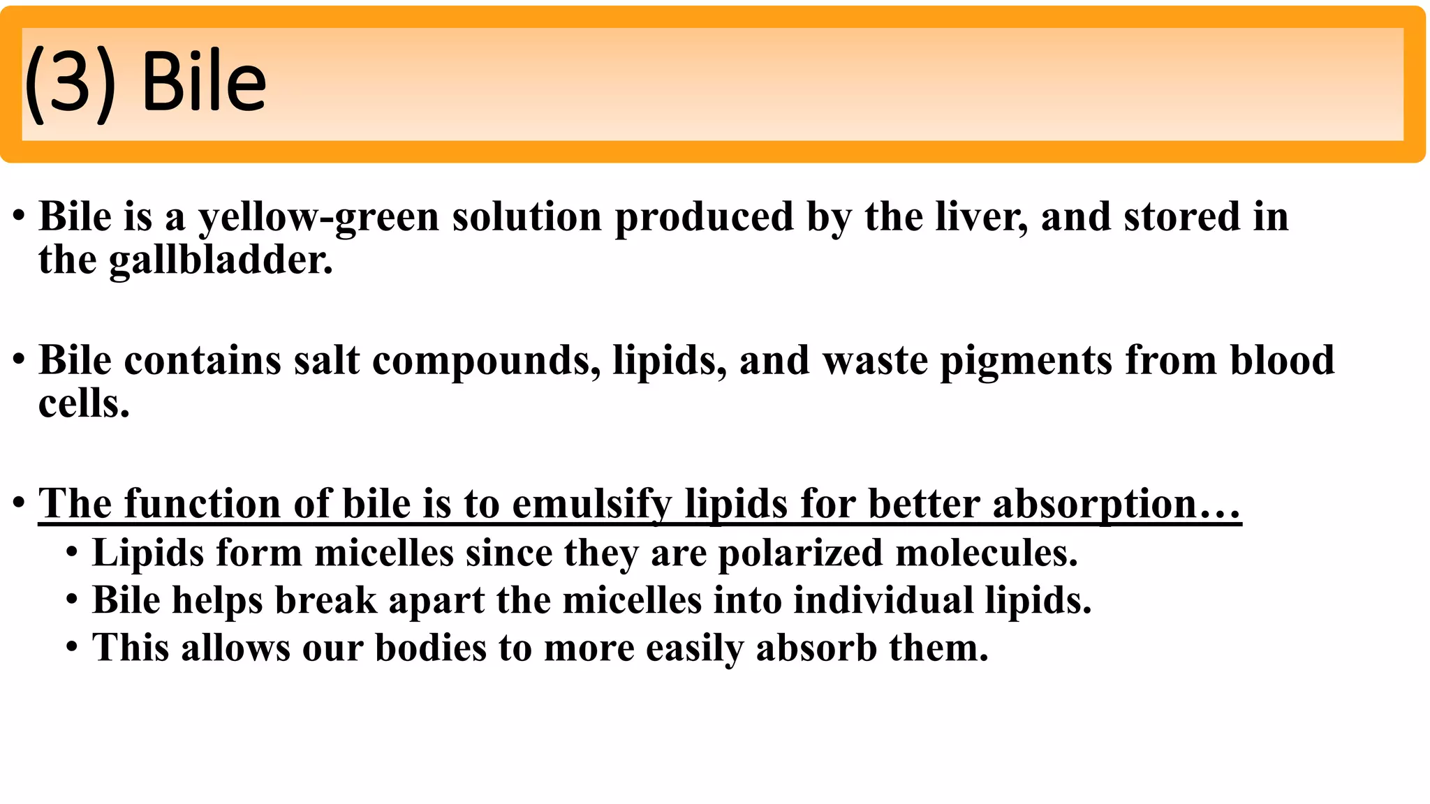 • Bile is a yellow-green solution produced by the liver, and stored in
the gallbladder.
• Bile contains salt compounds, lipids, and waste pigments from blood
cells.
• The function of bile is to emulsify lipids for better absorption…
• Lipids form micelles since they are polarized molecules.
• Bile helps break apart the micelles into individual lipids.
• This allows our bodies to more easily absorb them.
(3) Bile
 